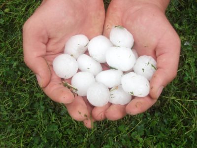 hail-1914266 Hail Stones st louis mo
