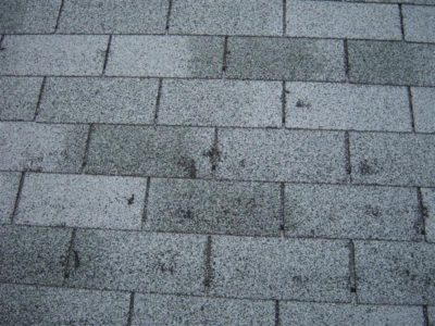 Hail-damage-roof Hail Stones st louis mo