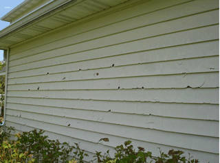 hail_damage_siding Hail Stones st louis mo